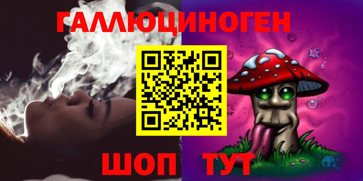 Псилоцибиновые грибы Psilocybe Воткинск